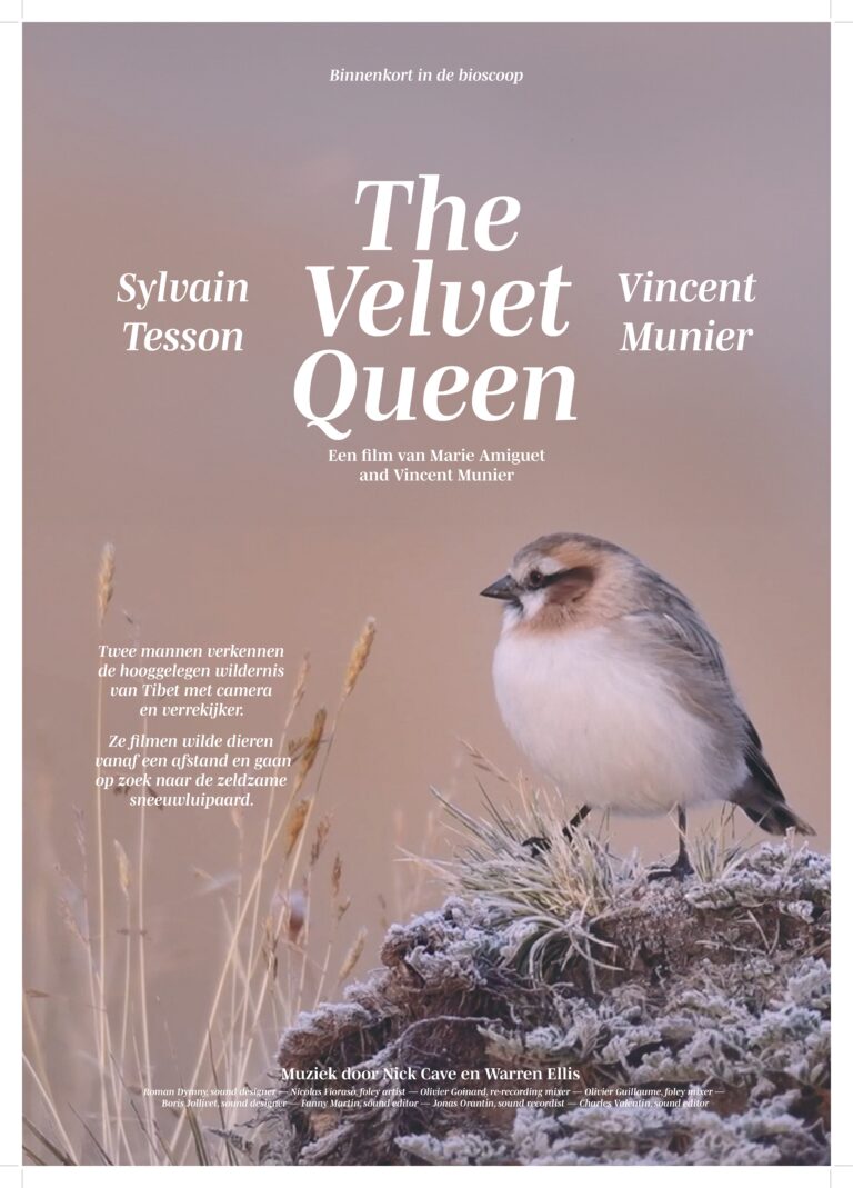 The Velvet Queen